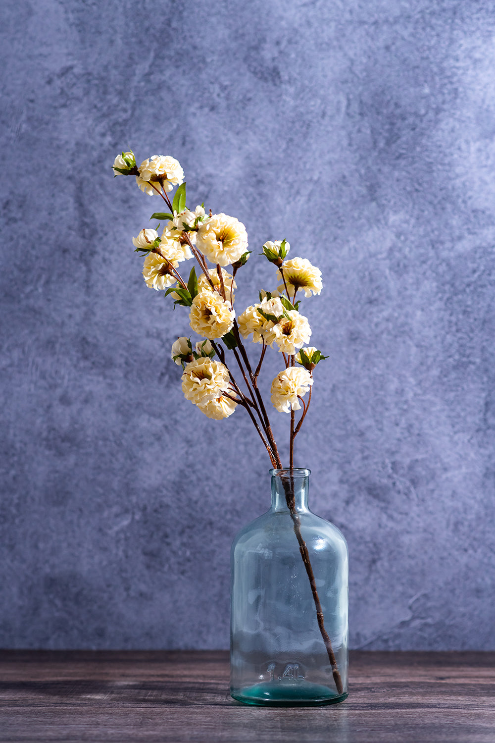 Dark Timber Photography Backdrop