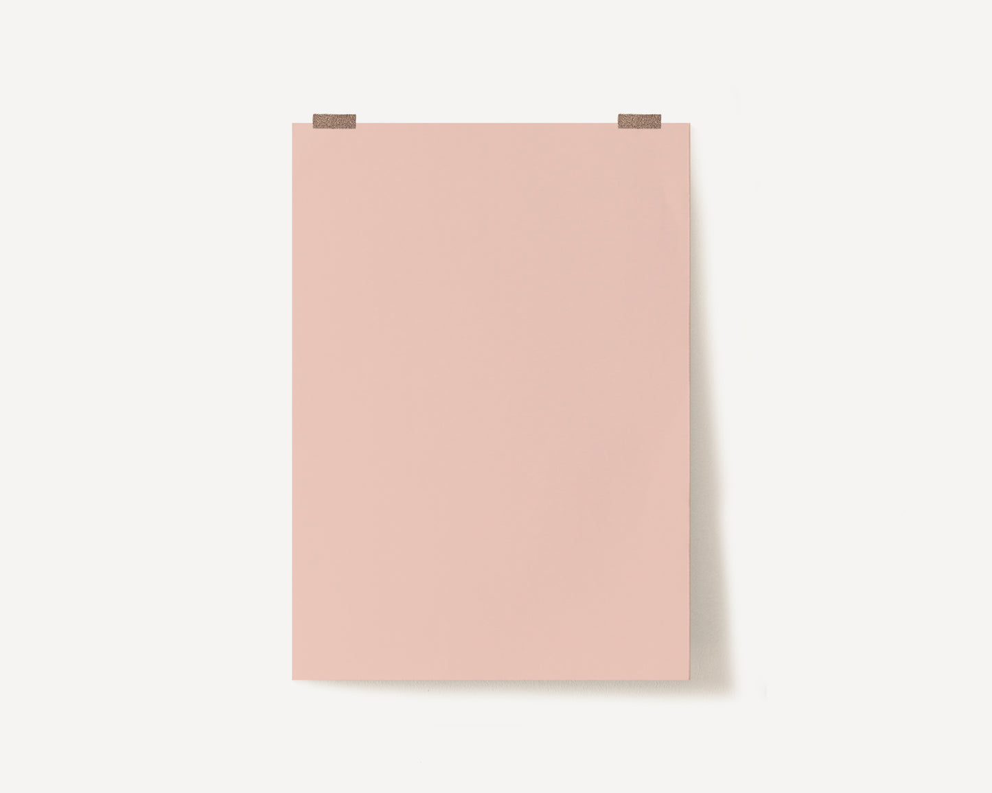 Blush Photography Backdrop
