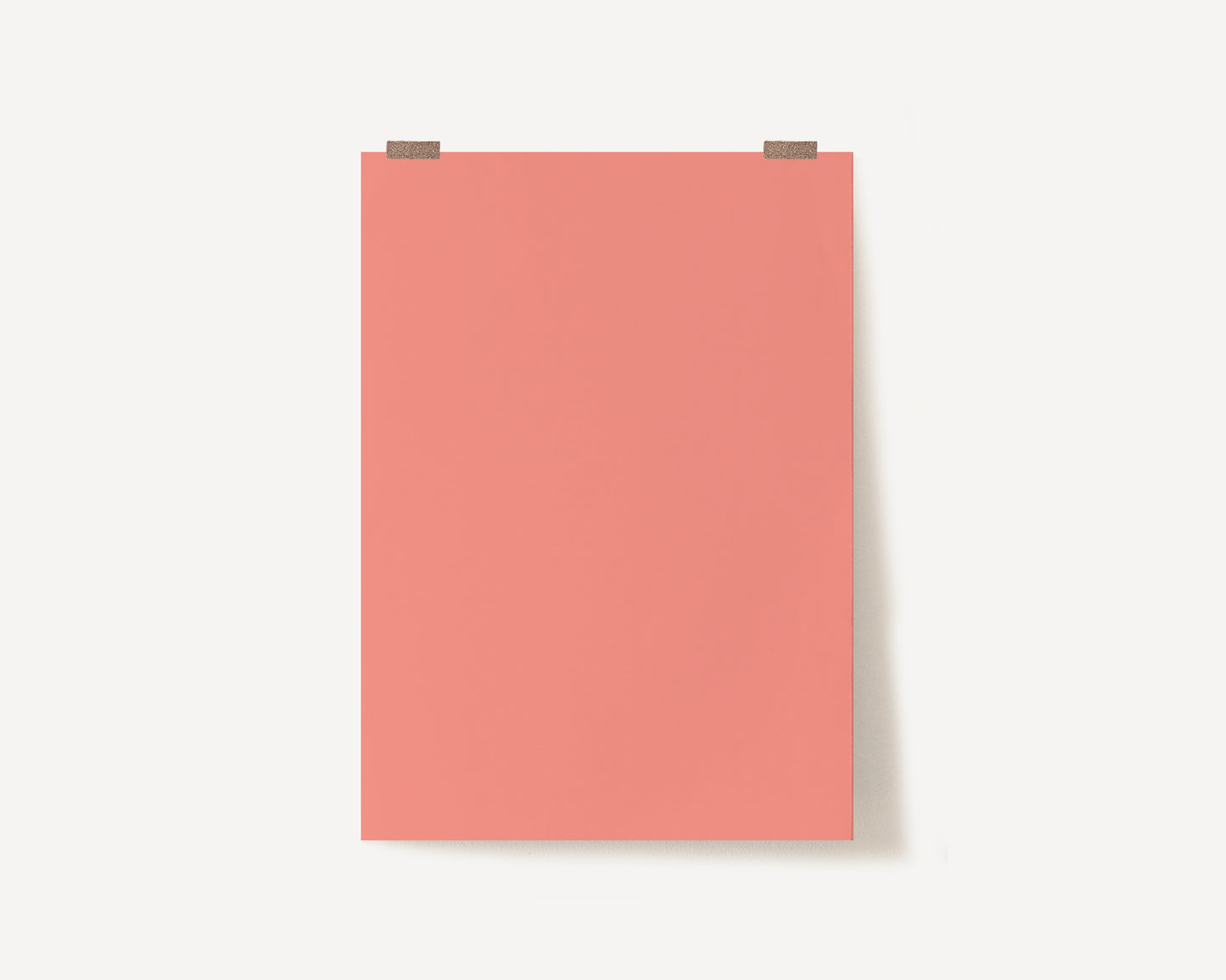 Coral Photography Backdrop