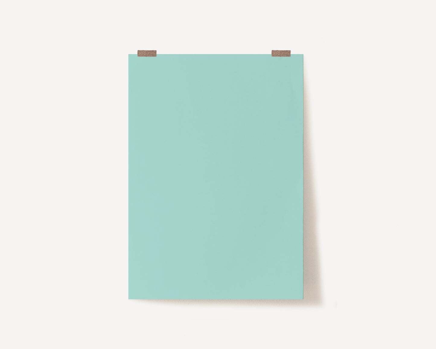 Mint Photography Backdrop
