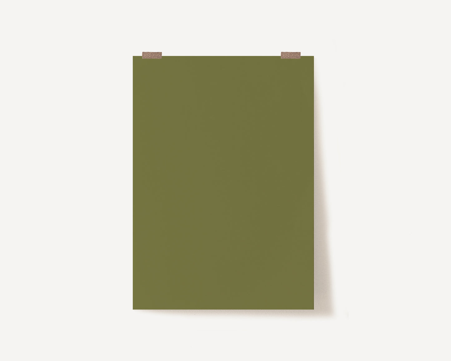 Olive Photography Backdrop