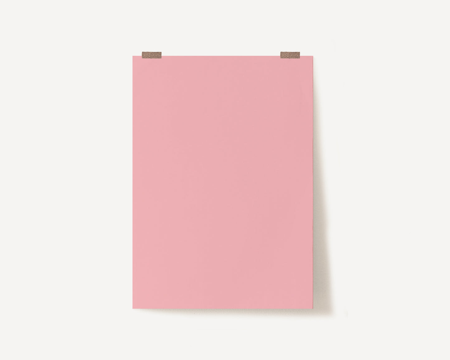 Pastel Pink Photography Backdrop