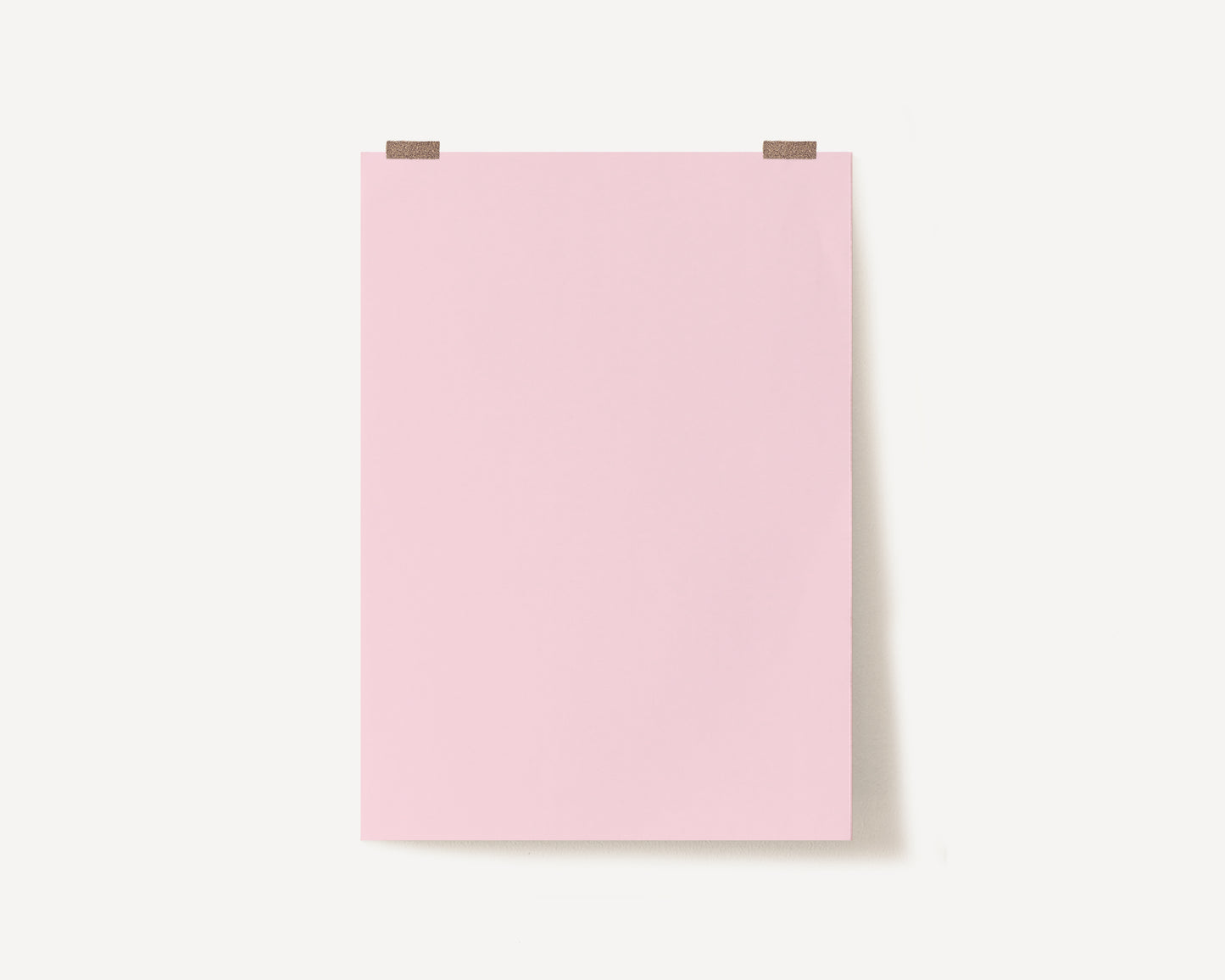 Light Pink Photography Backdrop
