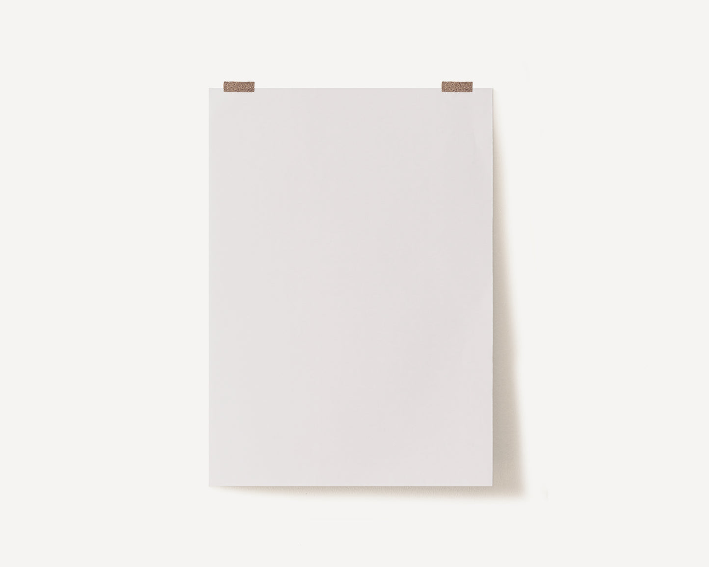 Light Grey Photography Backdrop