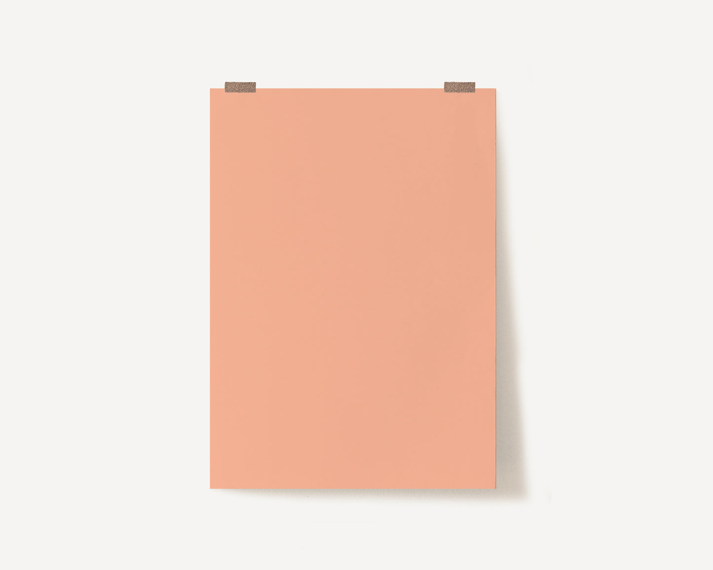 Peach Photography Backdrop